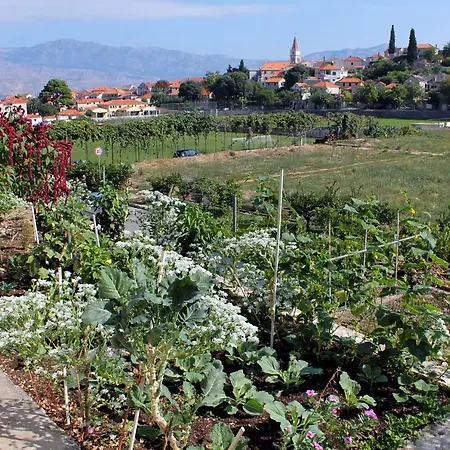 With Parking Space Postira, Brac - 5659 بوستيرا